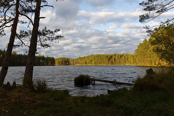 x_06e6c547.jpg