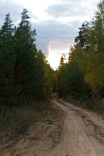 x_0033e457.jpg